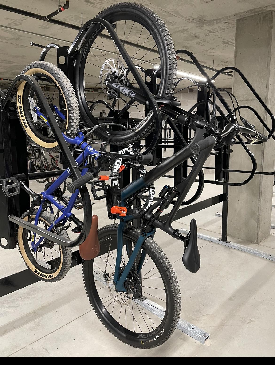 2022 Specialized Black