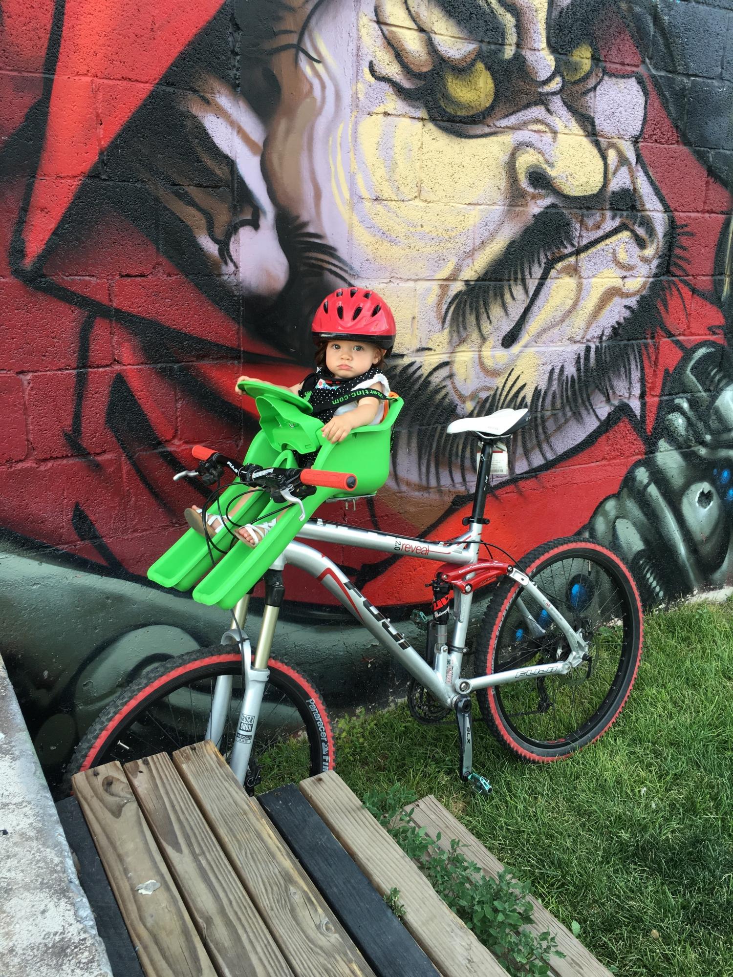 2010 Fuji reveal 2.0 Silver or Gray