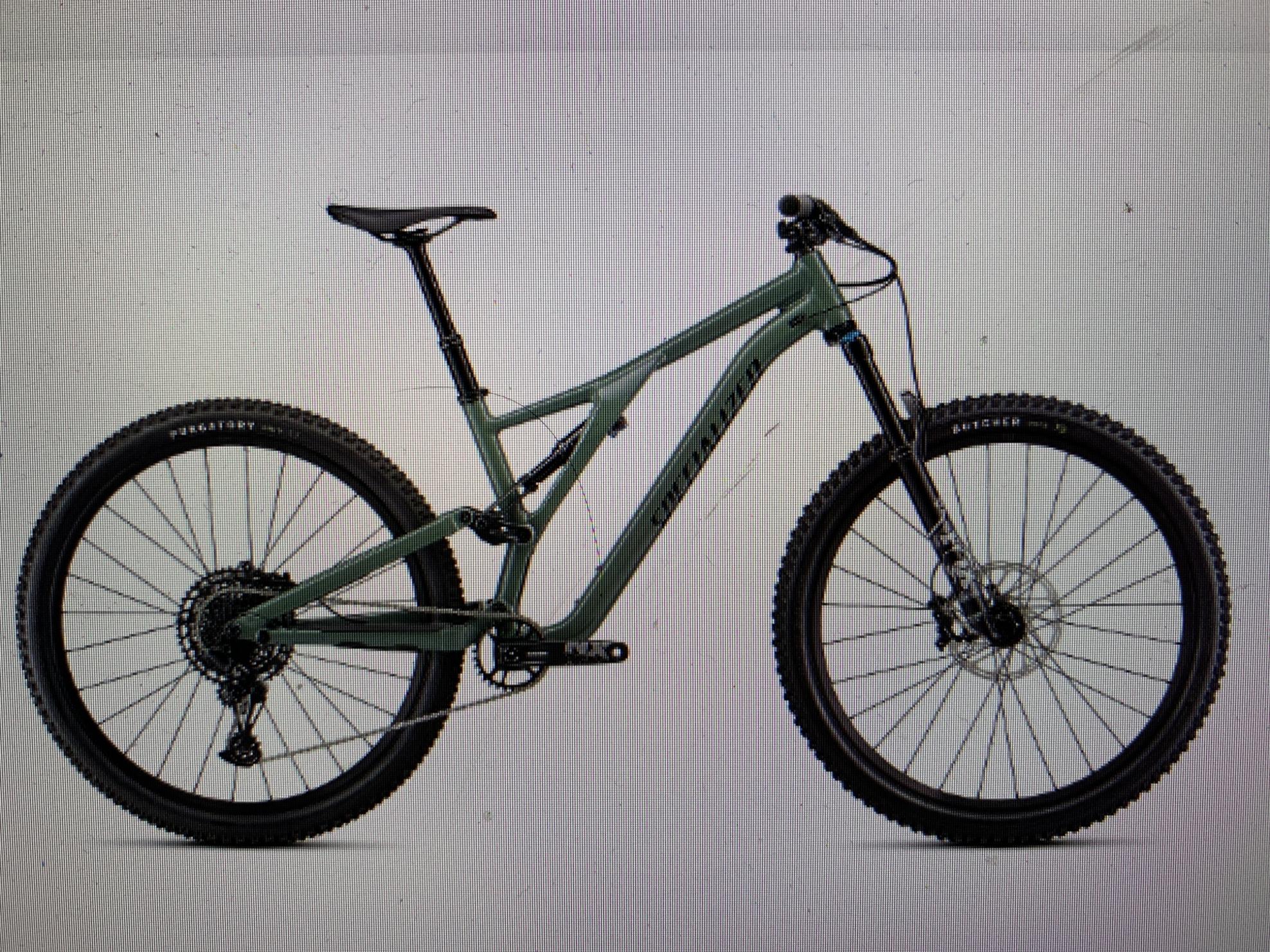 2024 Specialized Stump jumper comp alloy Green