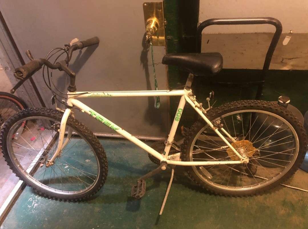 Trek White and Green