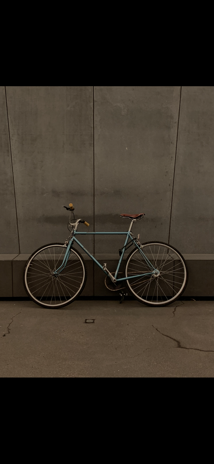 Raleigh Blue