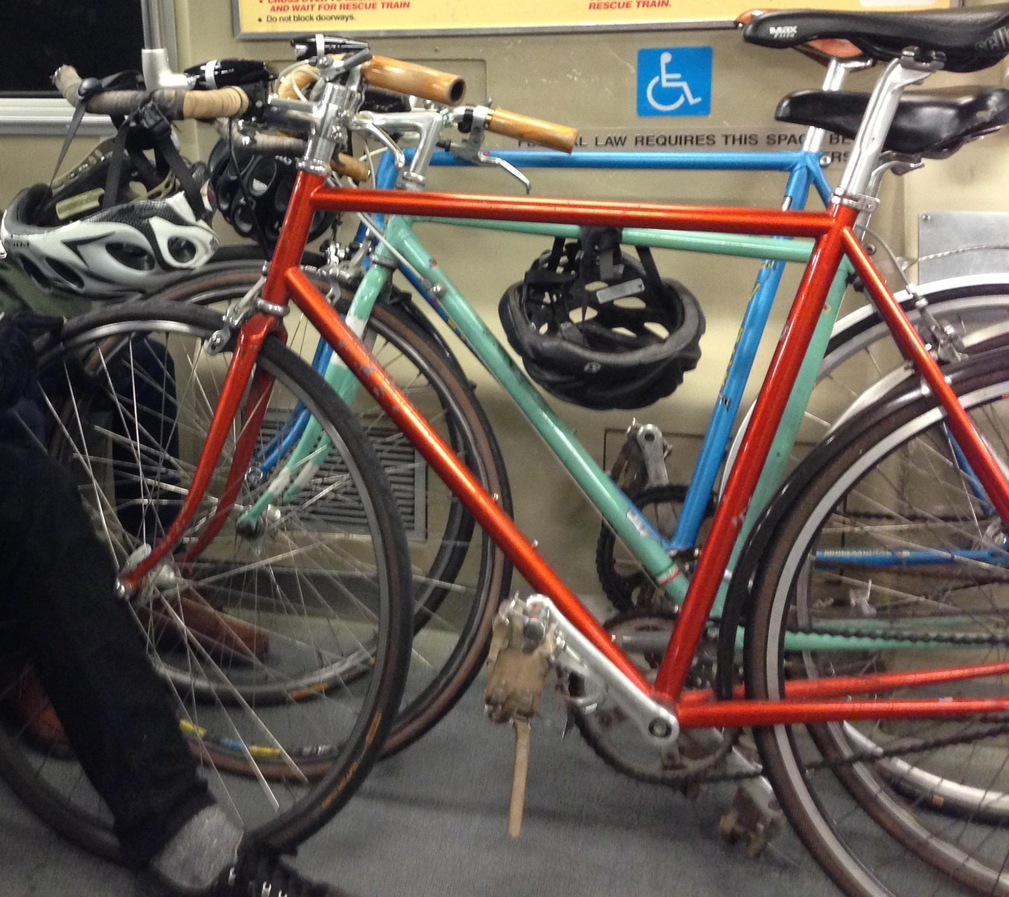 Gunnar Street Dog Orange