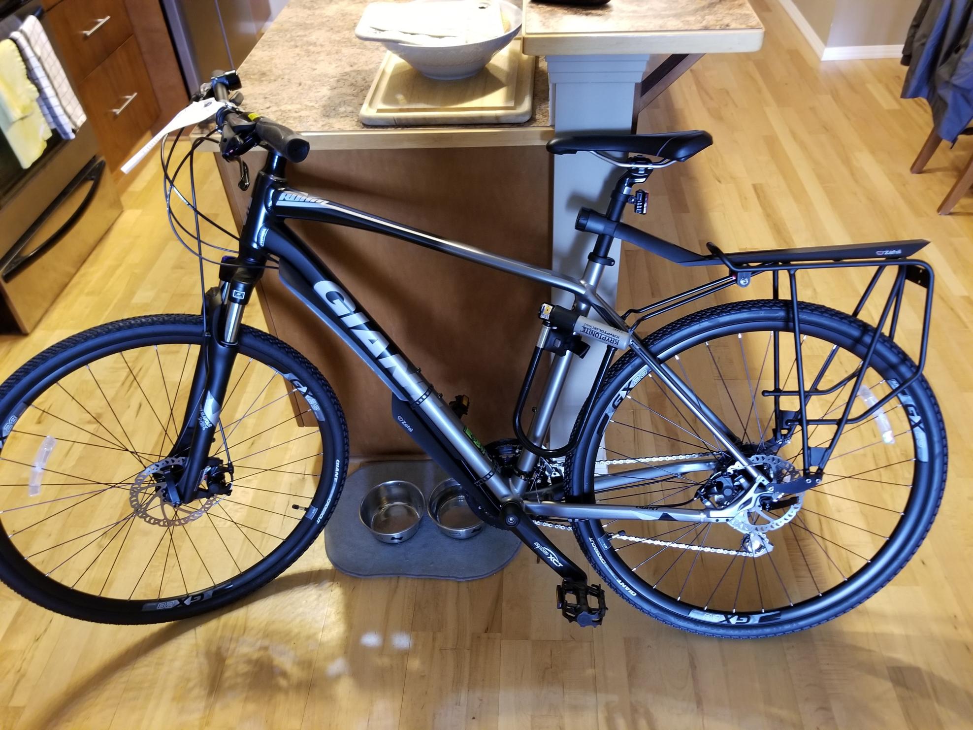 2017 Giant Roam 3 Silver or Gray and Black