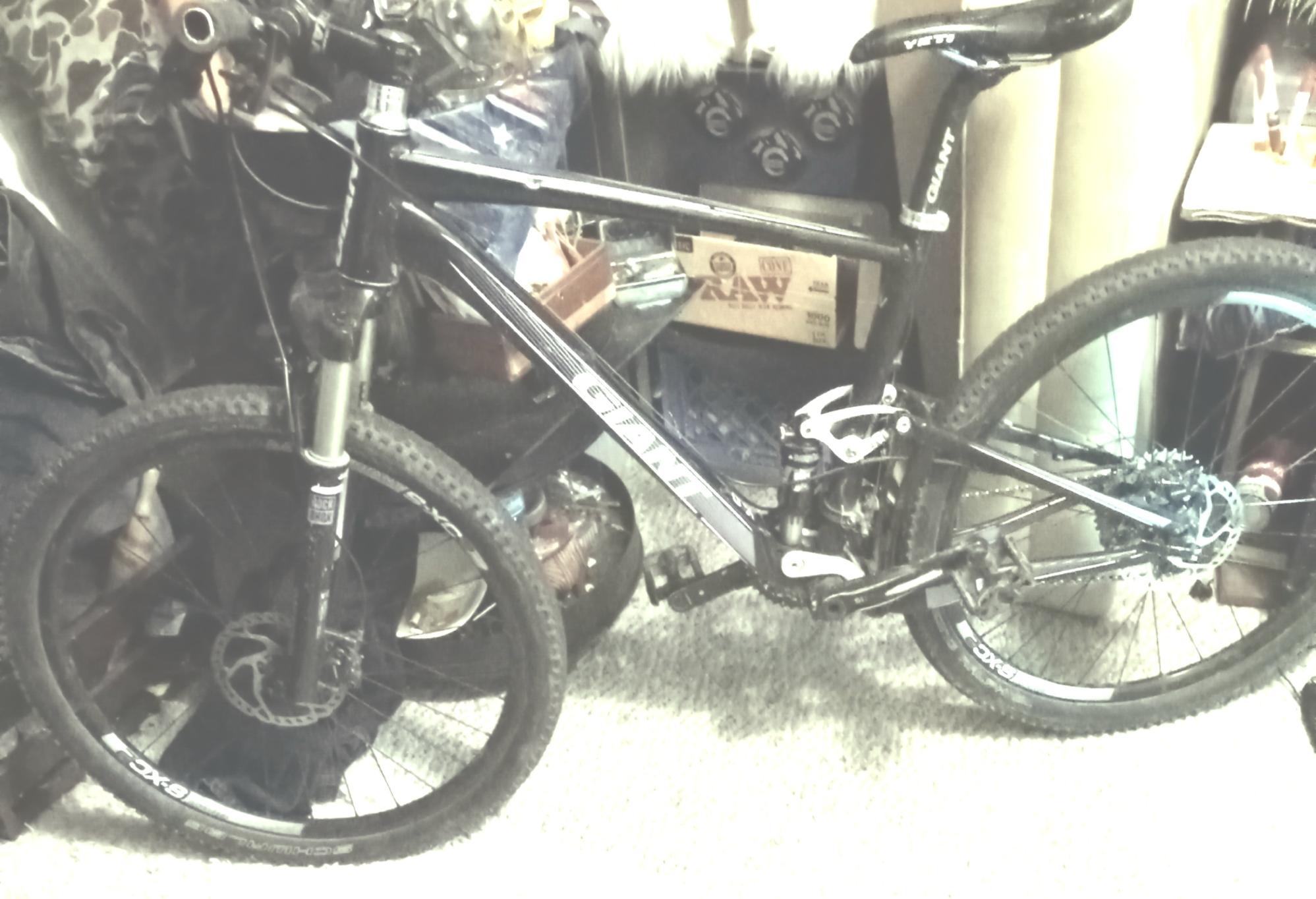 2023 Giant Anthem Black