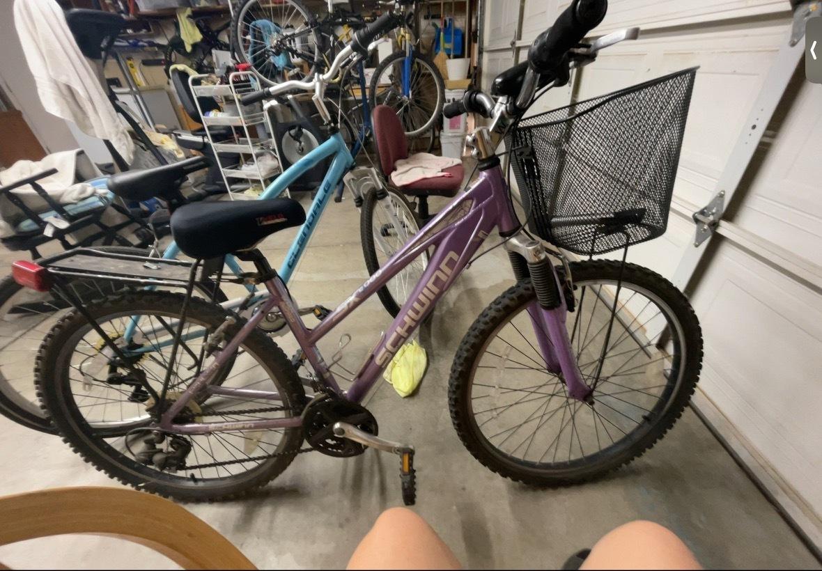 Schwinn Purple