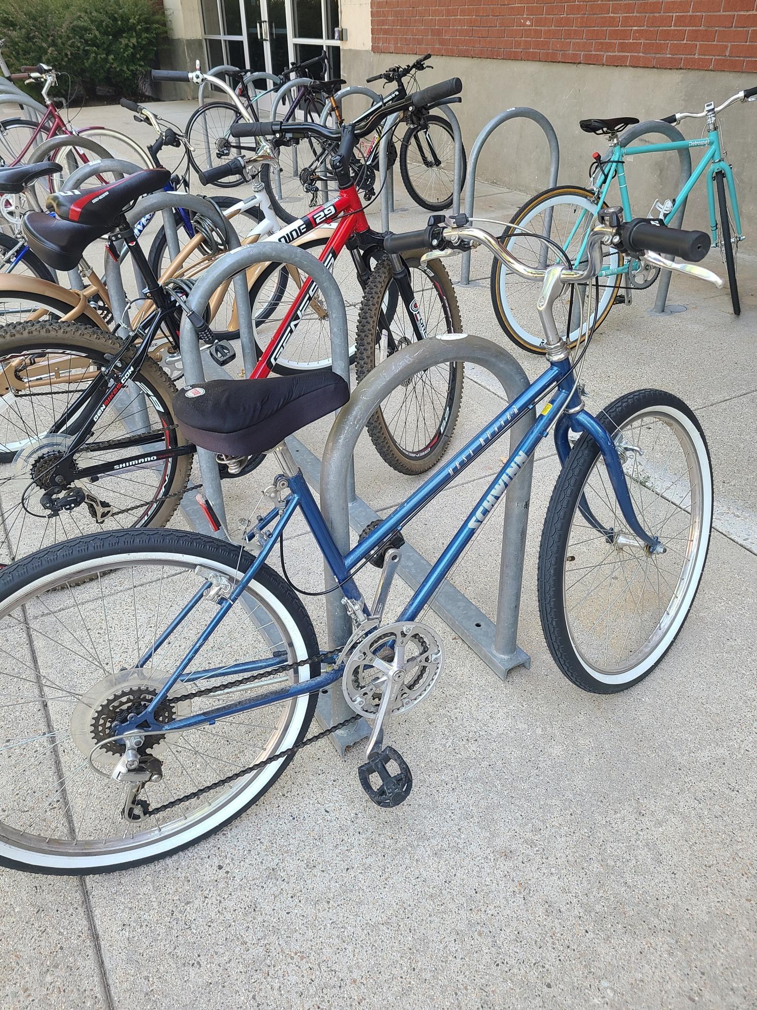 Schwinn Mesa Runner Blue