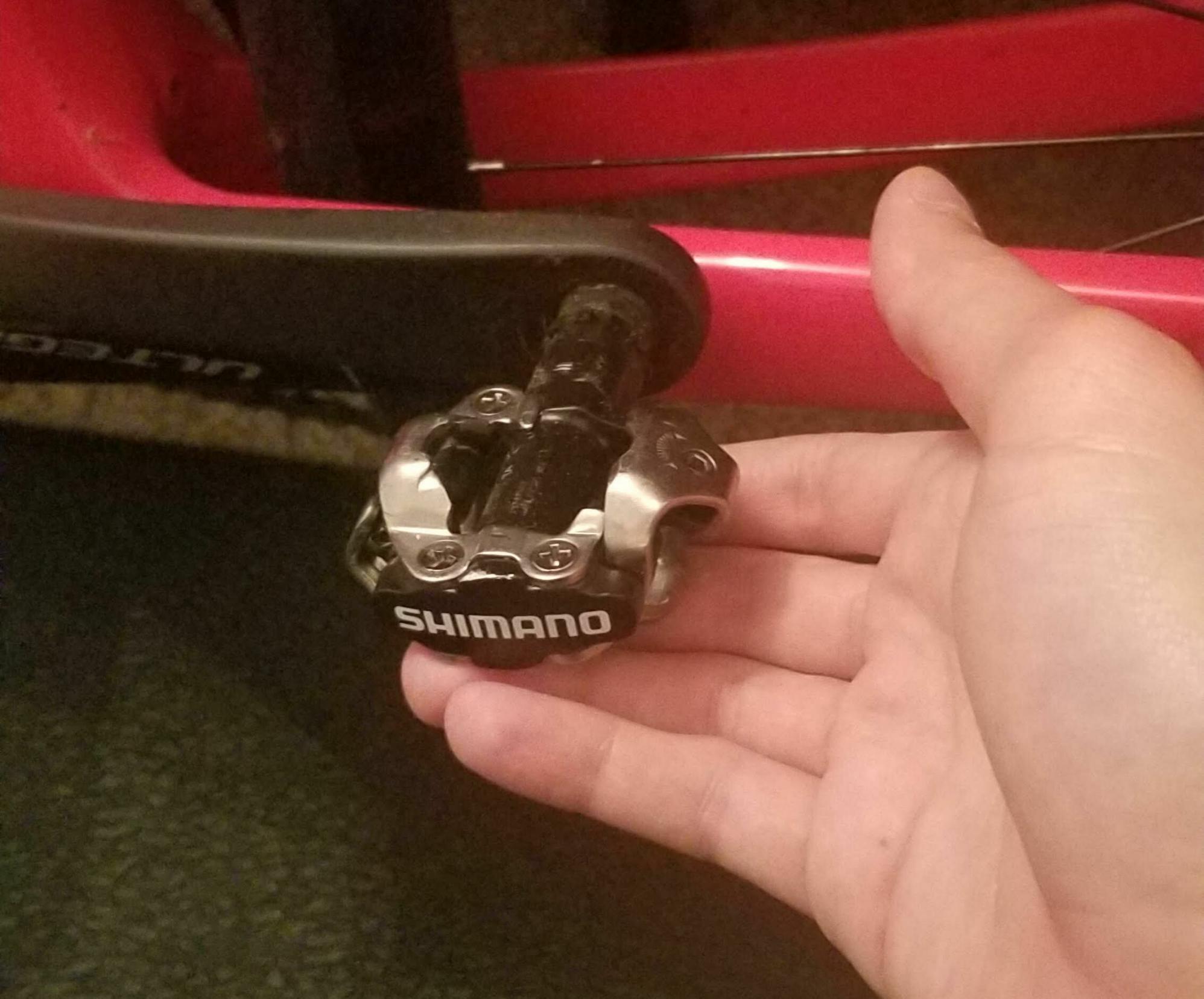 2020 Trek Domane SL6 Red and Black