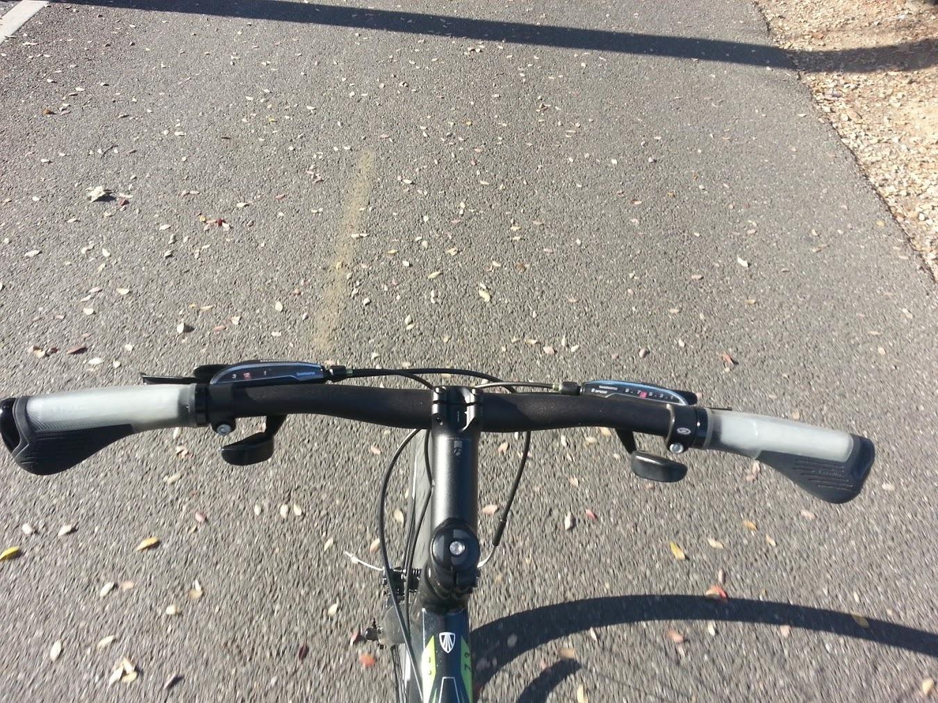 2013 Trek 7.3 FX Black and Green