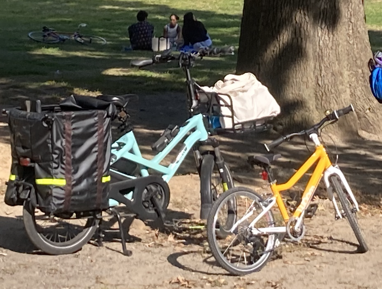 2023 Tern HSD P5i Teal