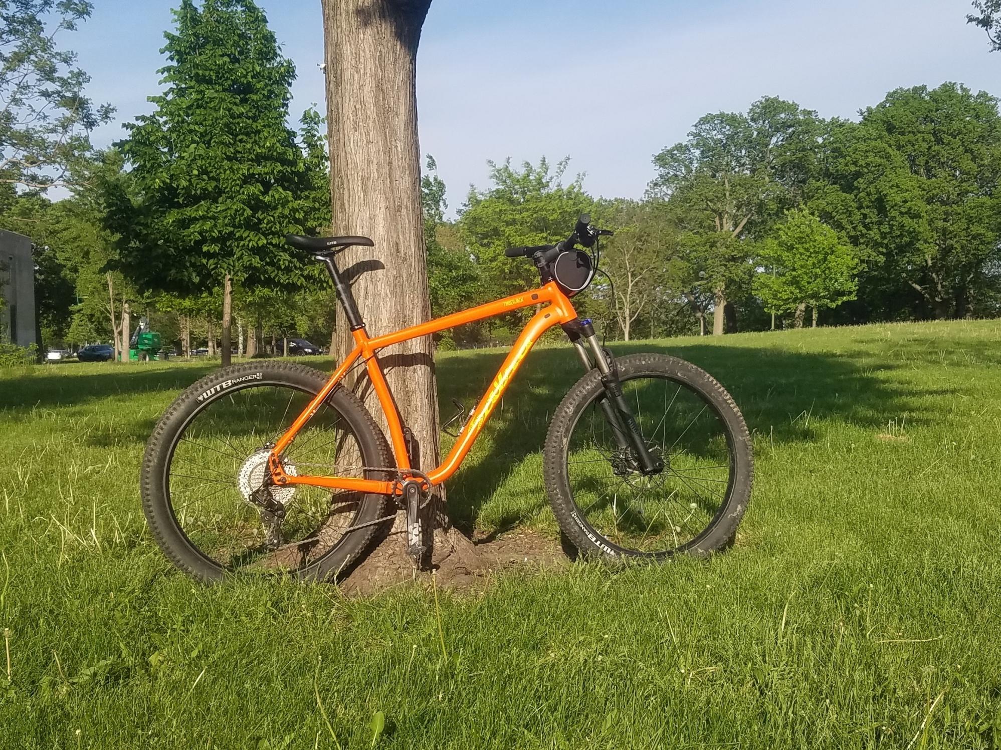 2019 Salsa Timberjack Orange