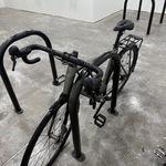 2024 Trek Domane Green