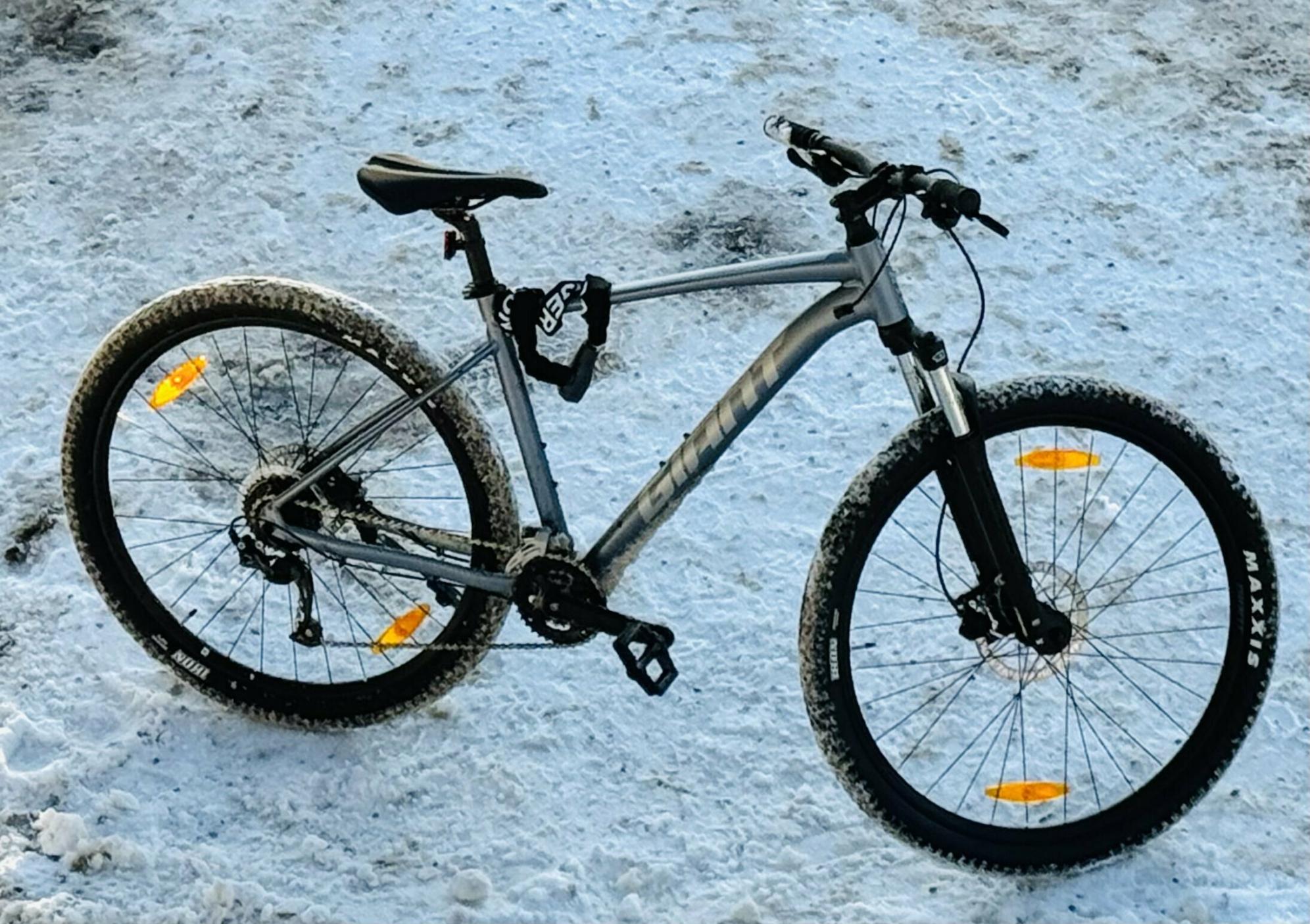 2025 Giant Talon 4 Silver, gray or bare metal
