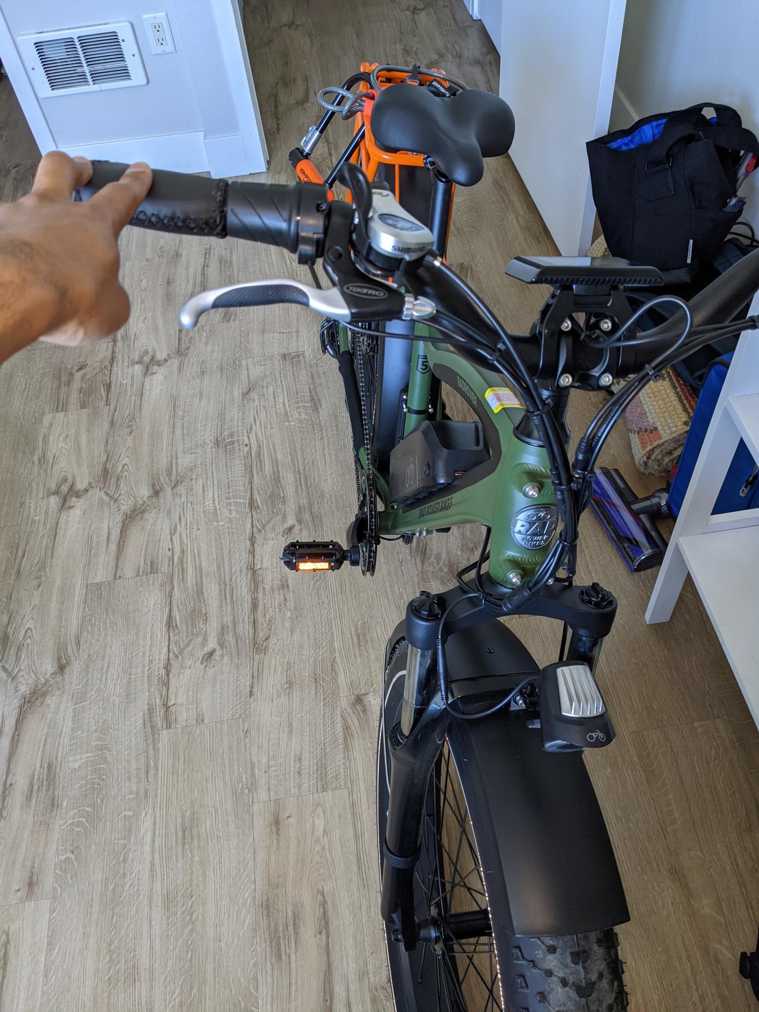 2021 Rad Power Bikes RadRover Green