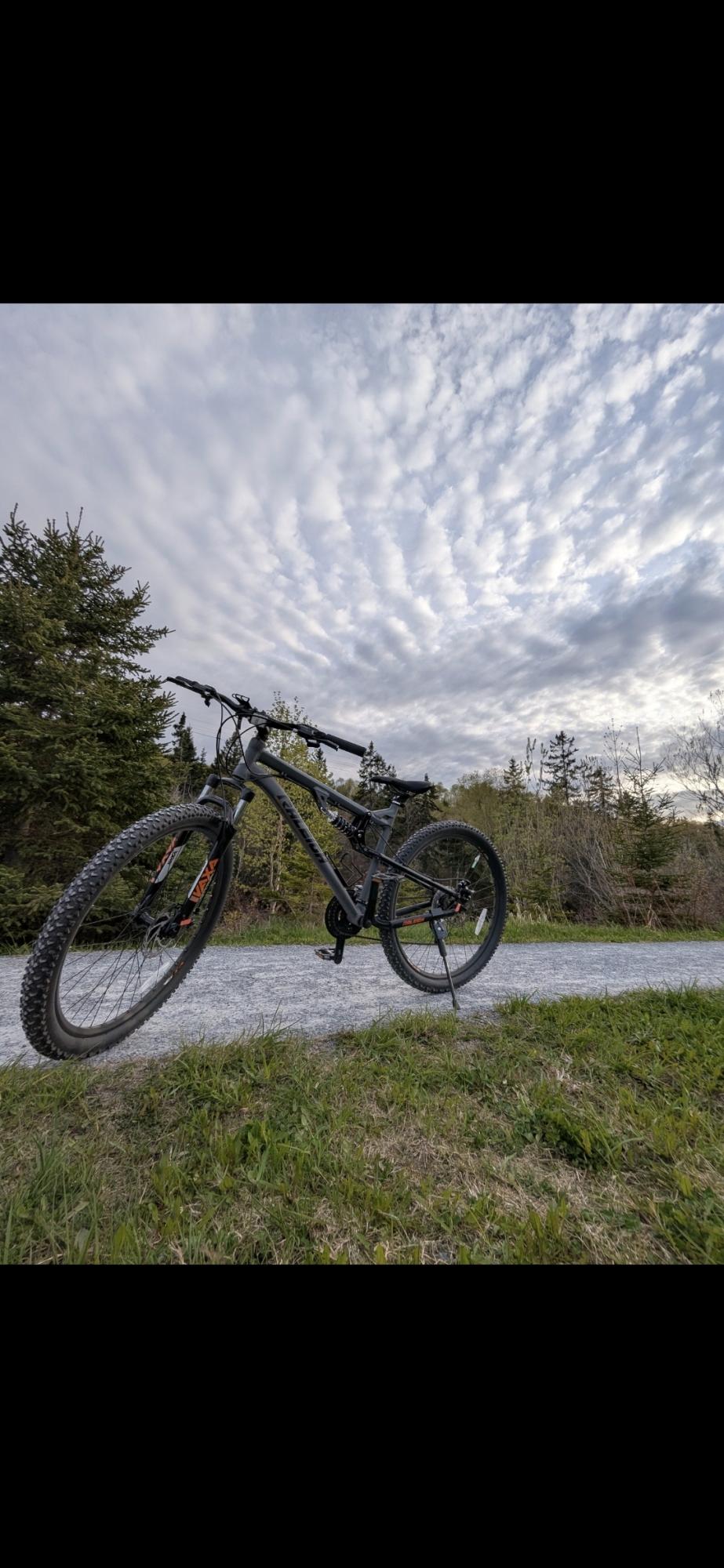 Raleigh Peak - Dual Suspension Mountain Bike Silver, gray or bare metal