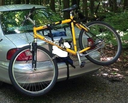 Raleigh Mountain Yellow or Gold