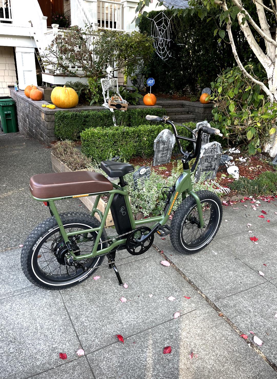 2020 Rad Power Bikes Runner Green