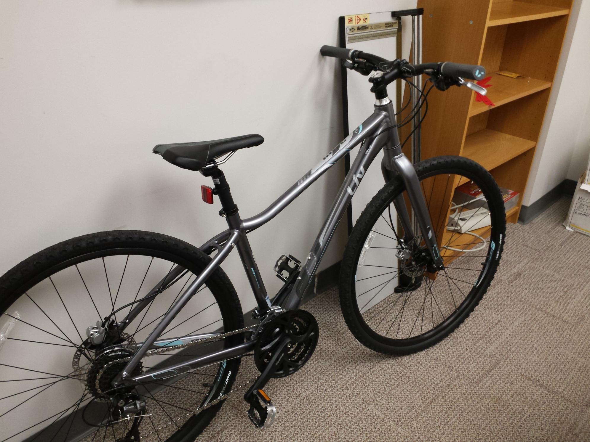 2015 Giant Rove Silver or Gray