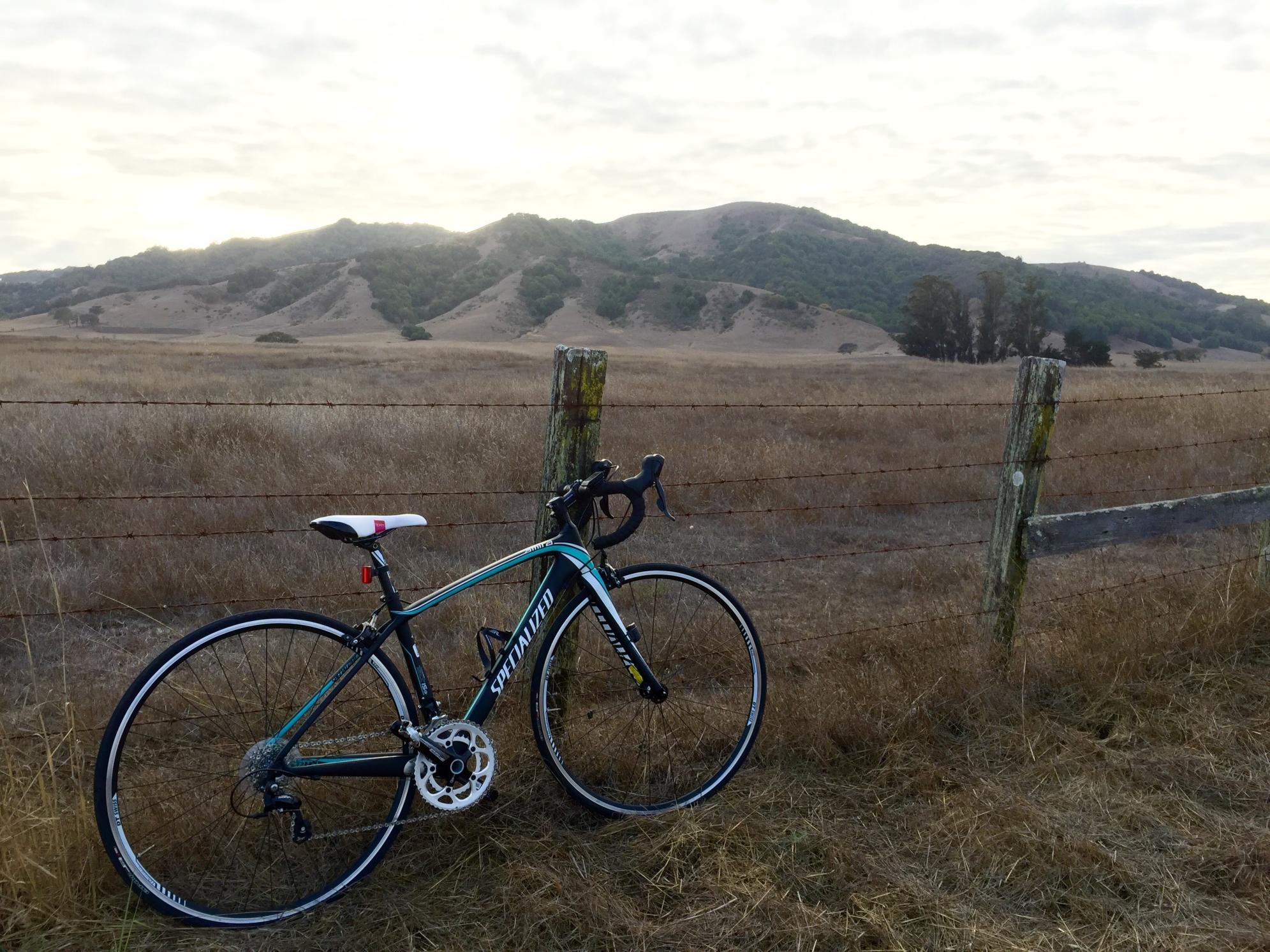 2013 Specialized Amira Compact Black