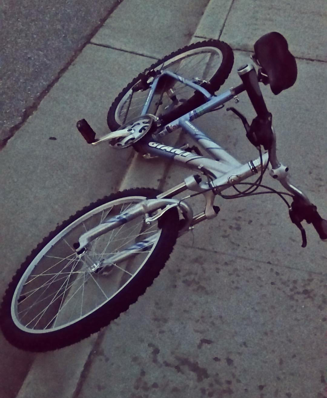 Giant Boulder SE w Silver or Gray and Teal