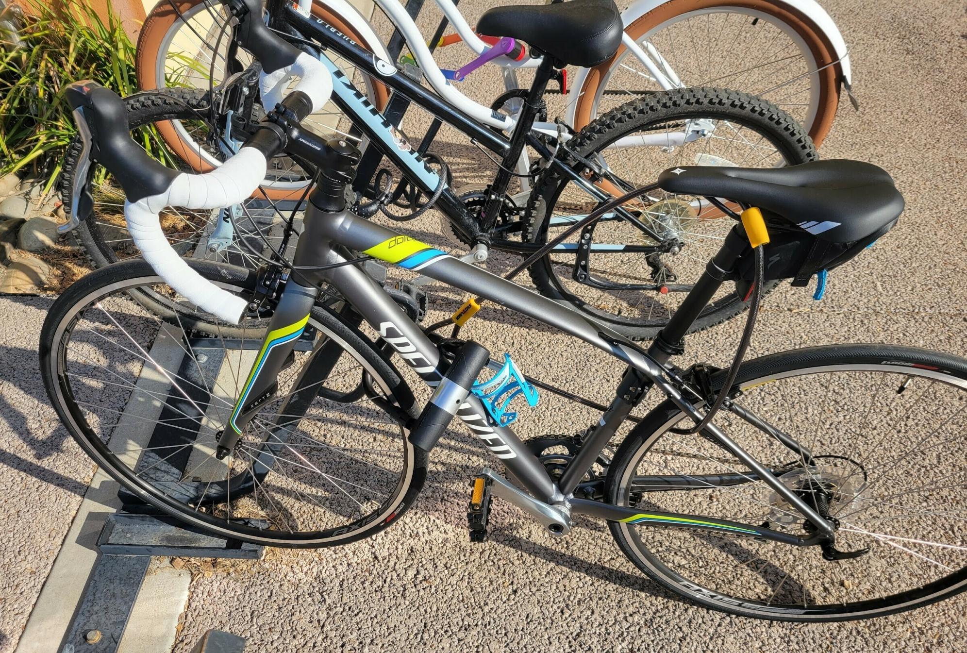 2022 Specialized Silver, gray or bare metal