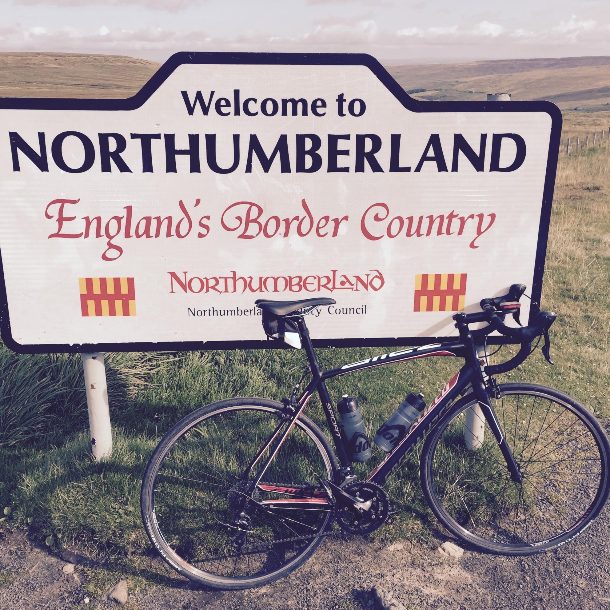 2013 Specialized Allez Sport Compact Black