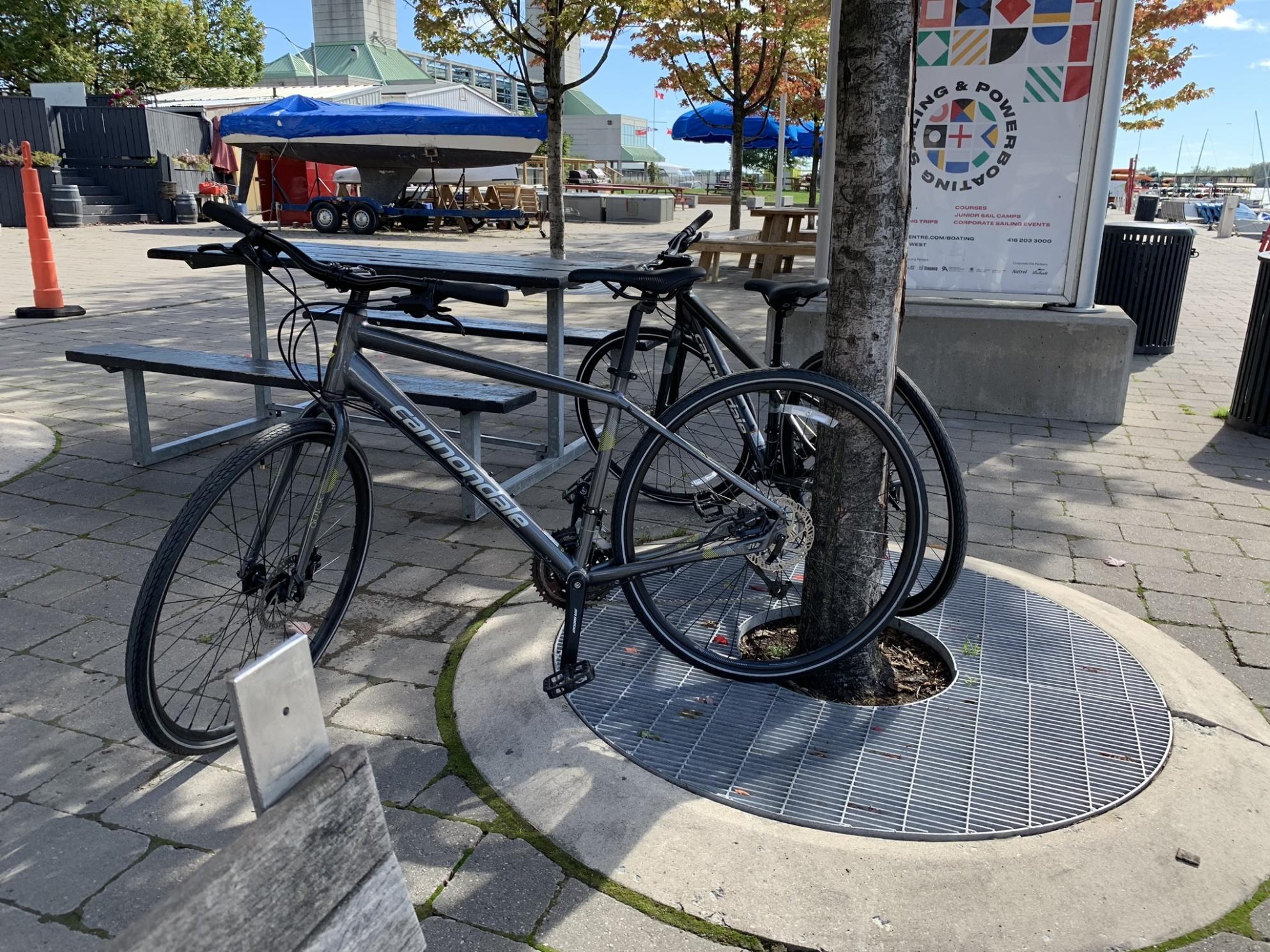 2019 Cannondale Quick Disc 5 Silver, gray or bare metal