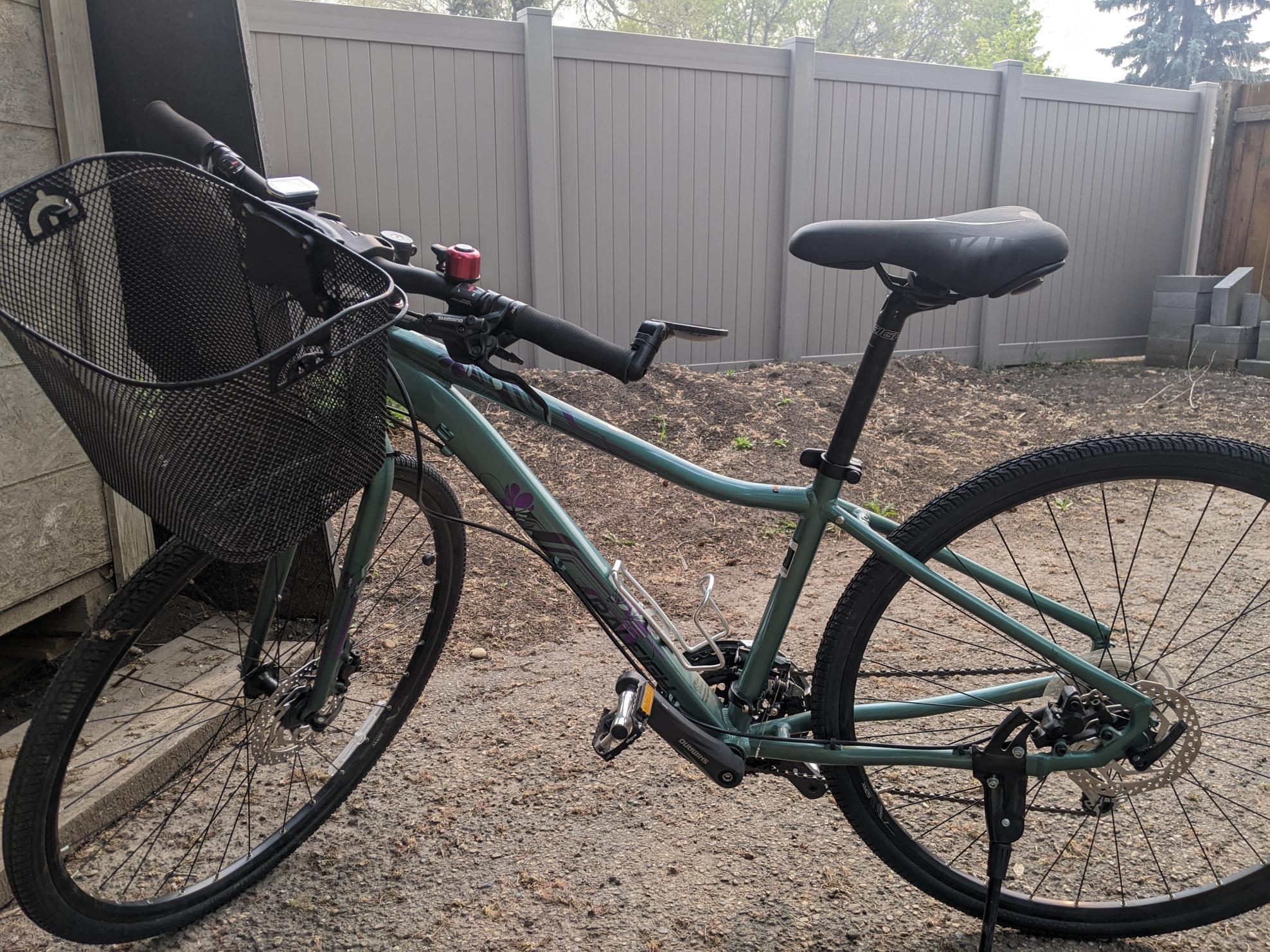 Raleigh Mesika Green and Purple