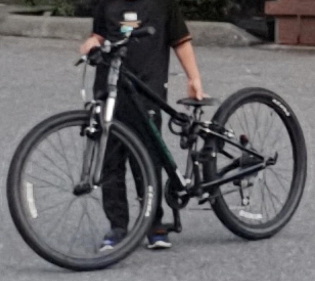 2022 Cannondale Black