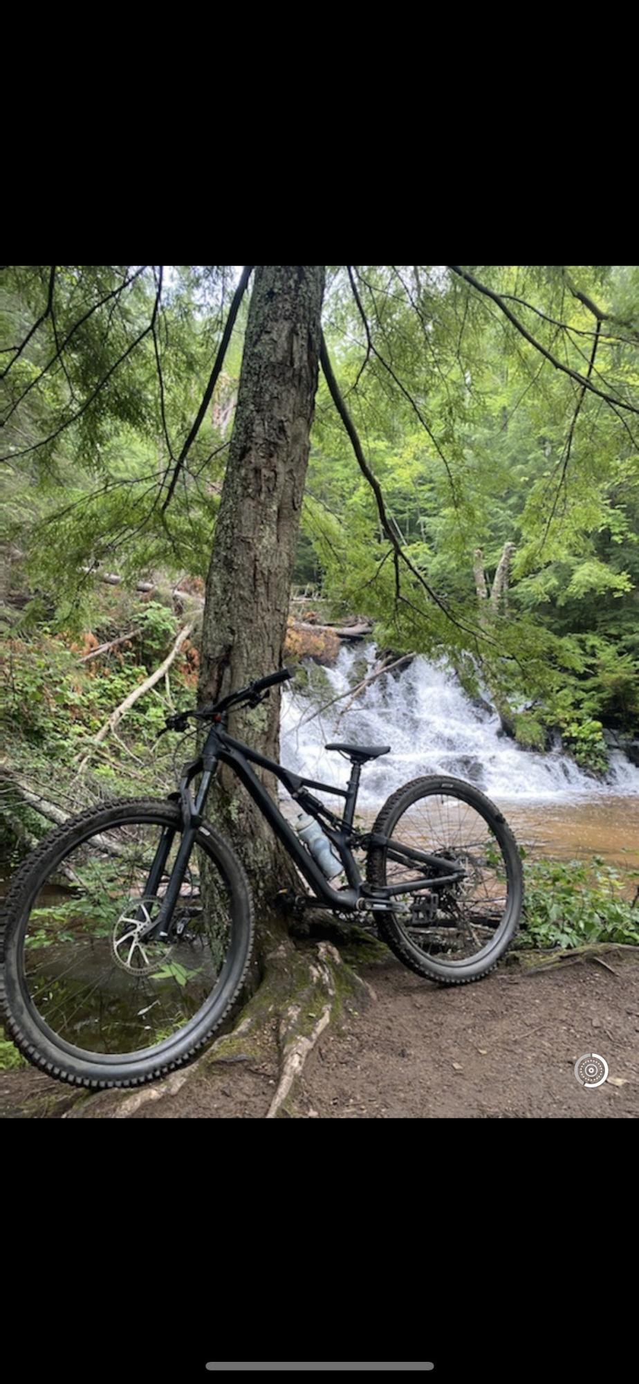 2019 Specialized Stump Jumper Black
