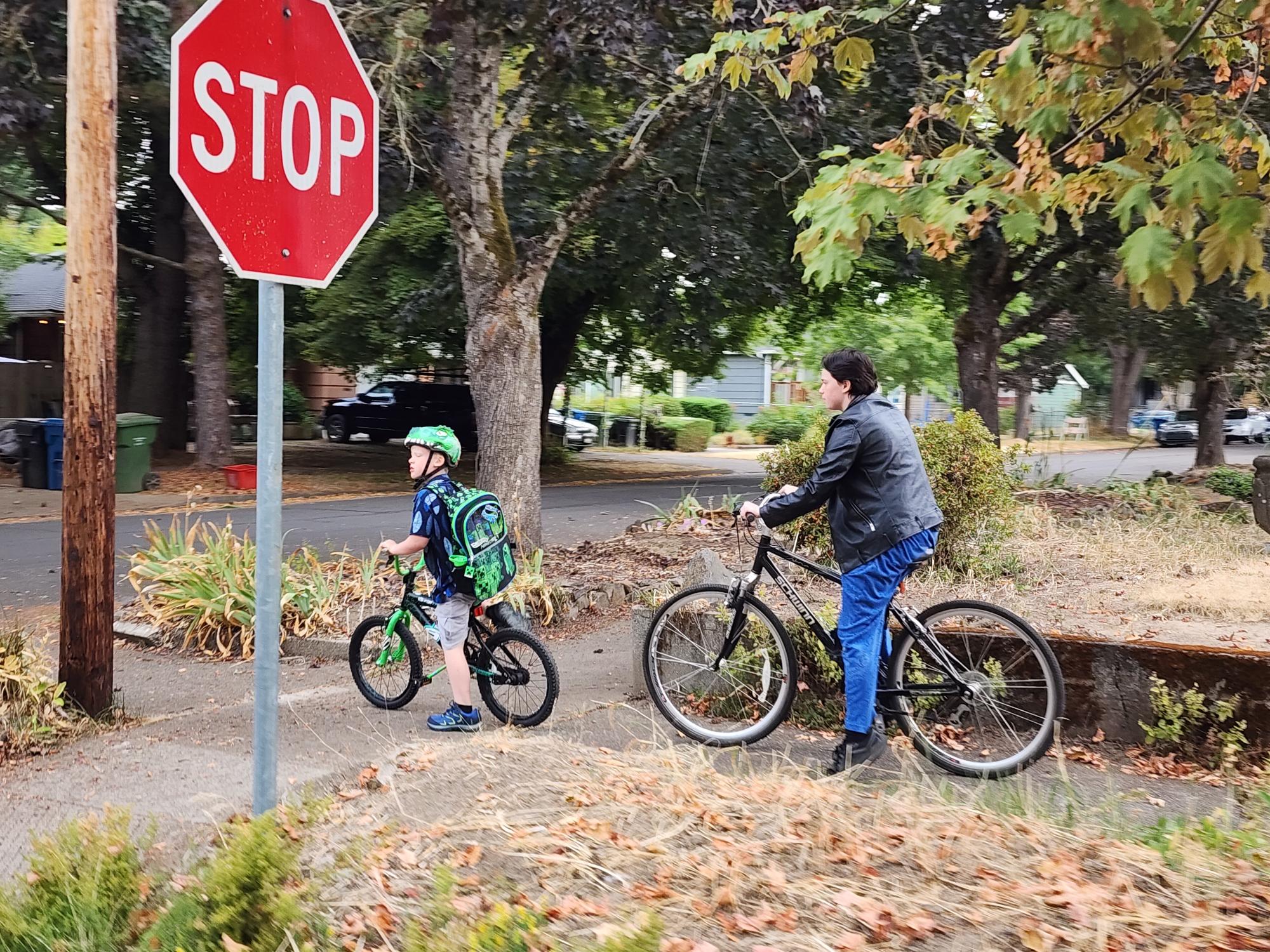 Schwinn Discover Black, Silver, gray or bare metal, and Yellow or Gold