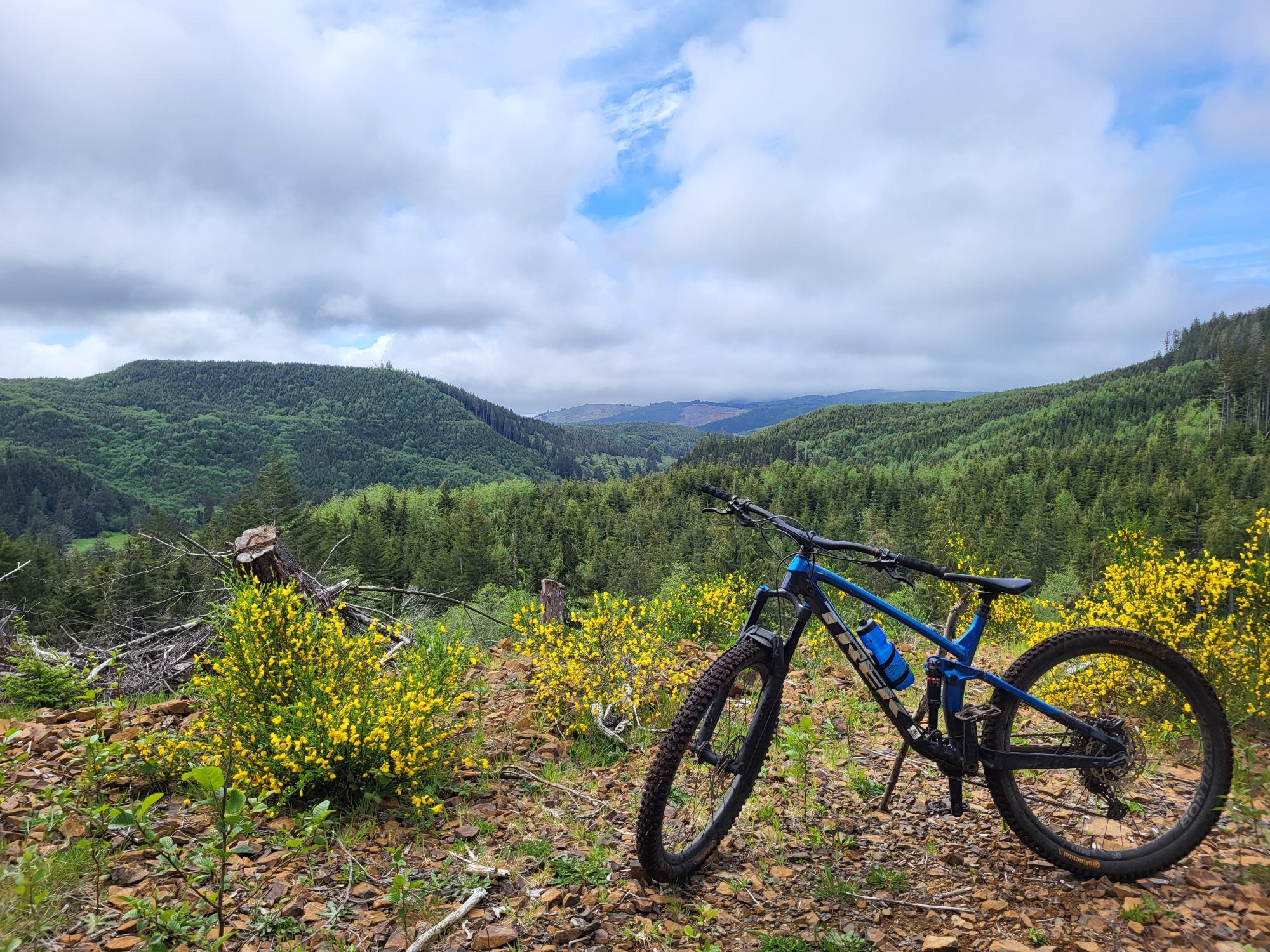 2022 Trek Fuel EX 8 Gen 5 Blue and Black