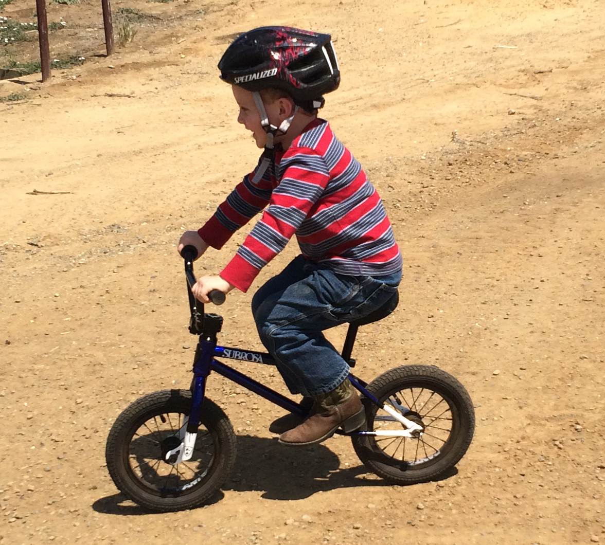 2014 Custom assembly Subrosa - Child's Balance Bike Blue