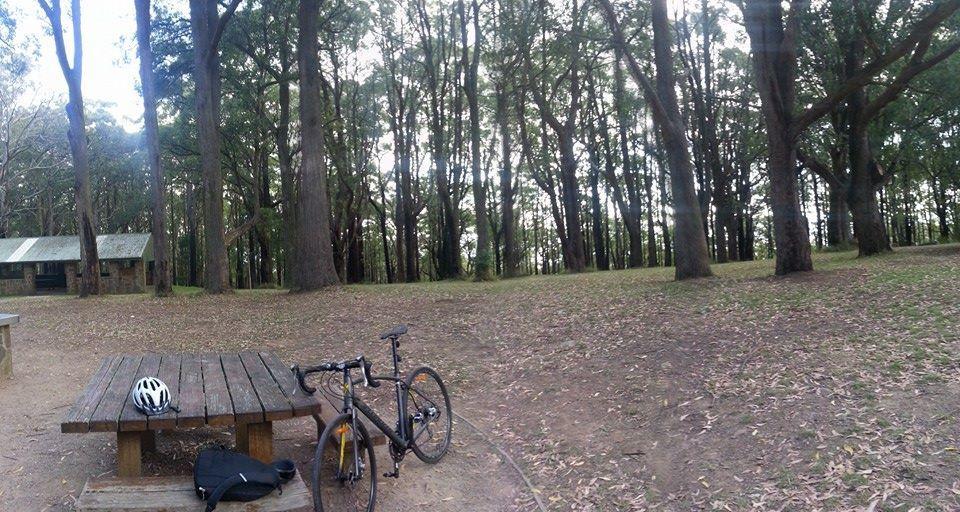 2014 Specialized Secteur Elite Silver or Gray