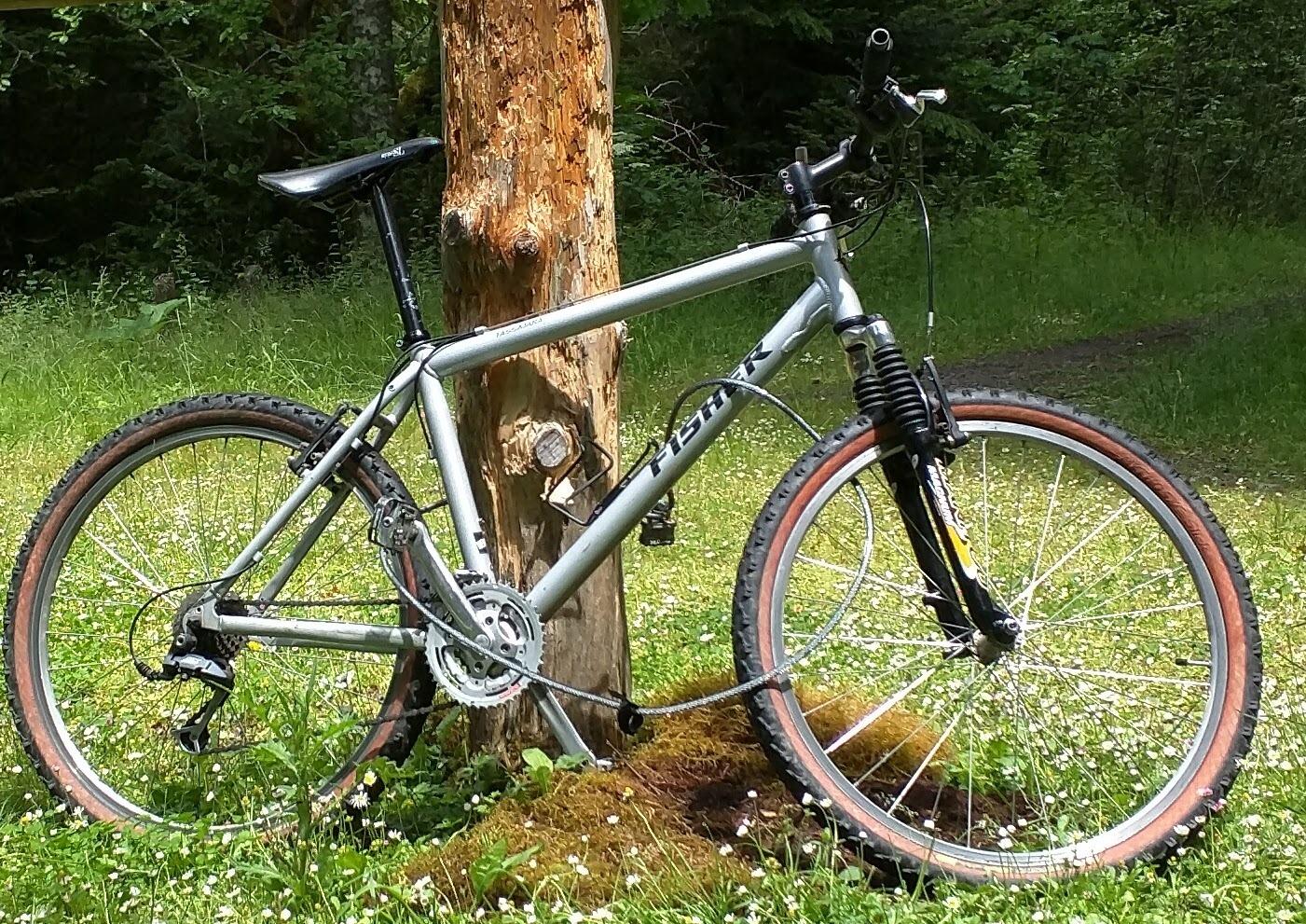 2000 Gary Fisher Tassajara Silver or Gray