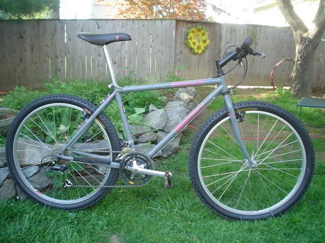 1996 Specialized Leisure bike Blue