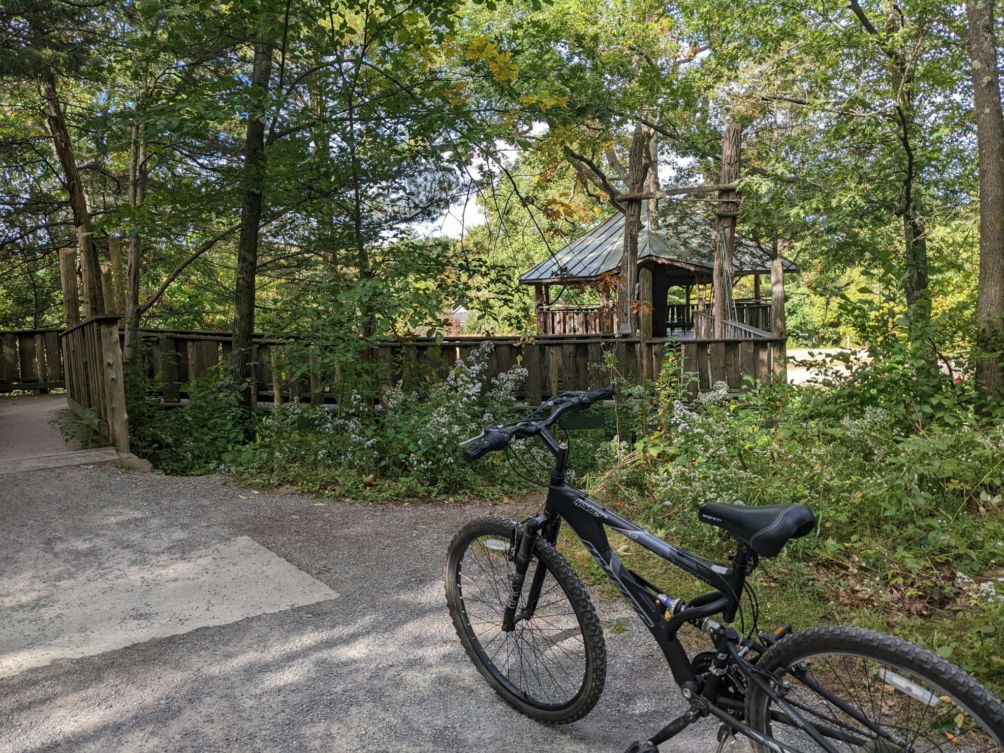 Hyper Havoc Black and Silver, gray or bare metal