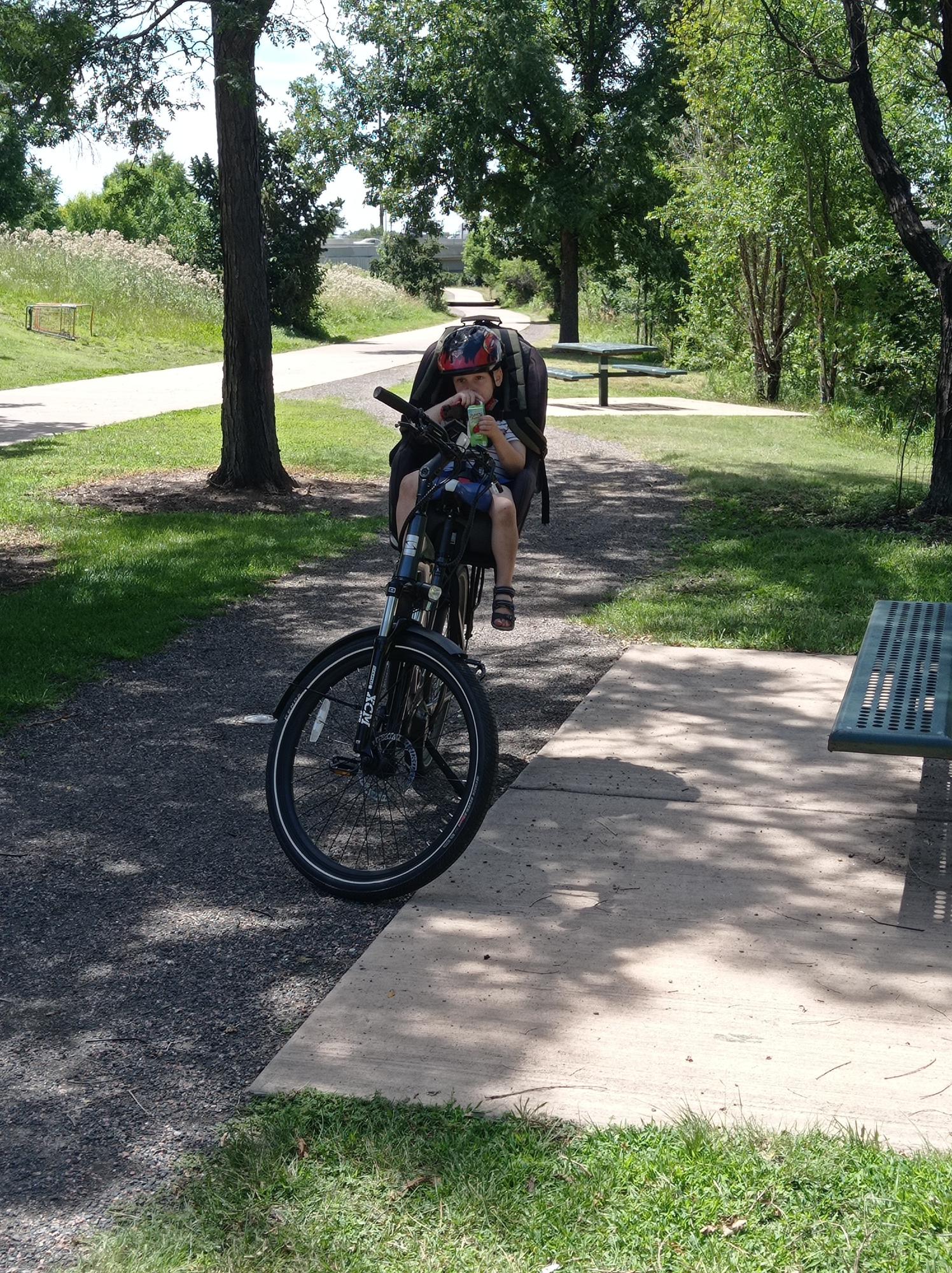 2022 Serfas Step thru Silver, gray or bare metal