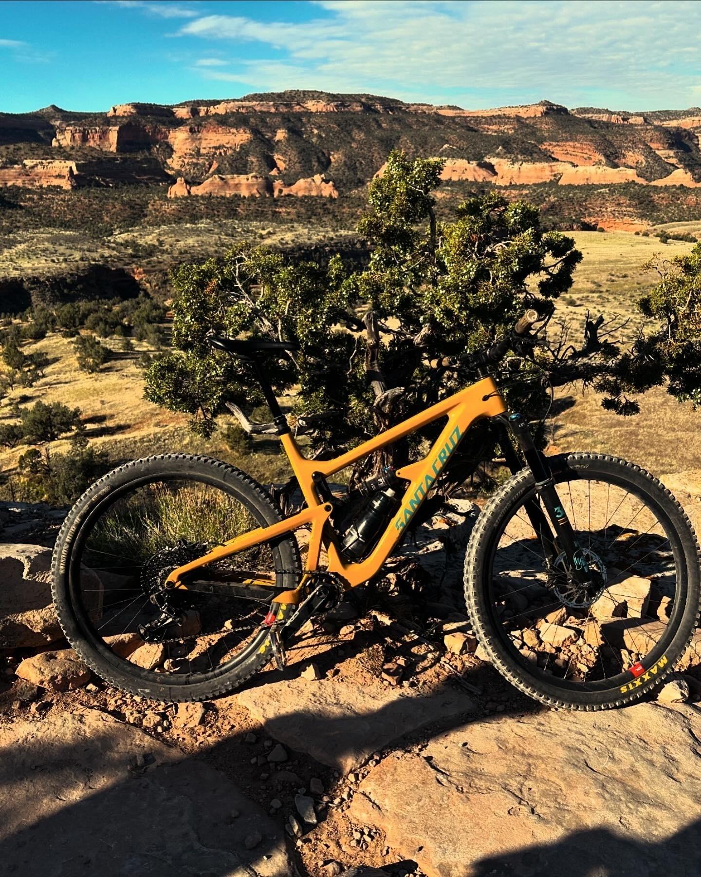 2019 Santa Cruz Hightower Yellow or Gold