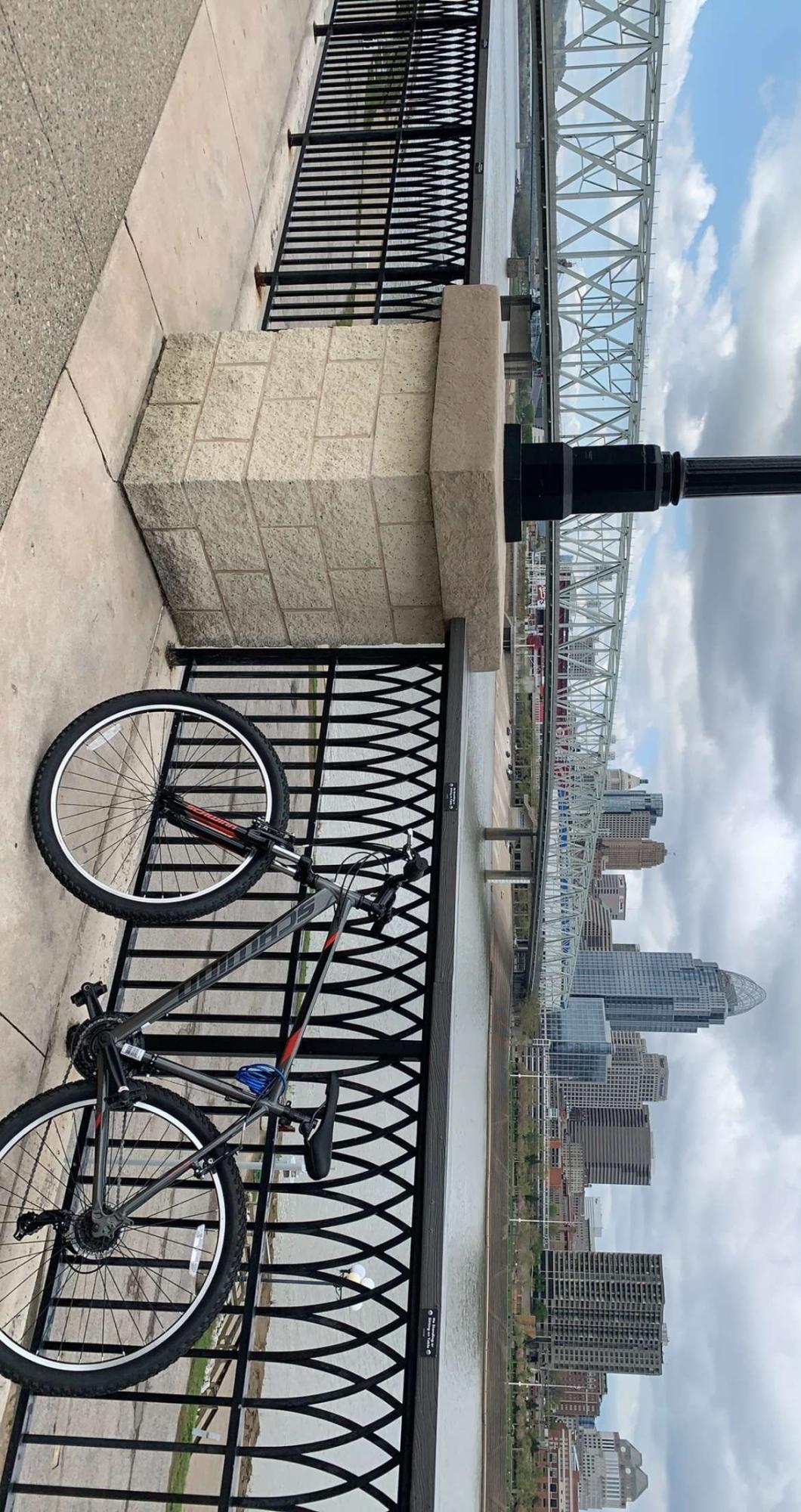 Schwinn standpoint Silver, gray or bare metal