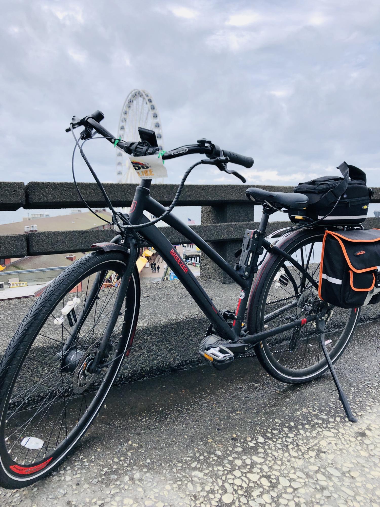 2017 Breezer Liberty Black