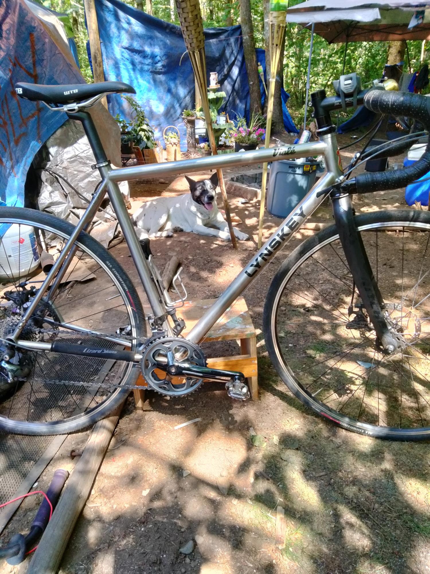 2021 Lynskey Viale Silver, gray or bare metal
