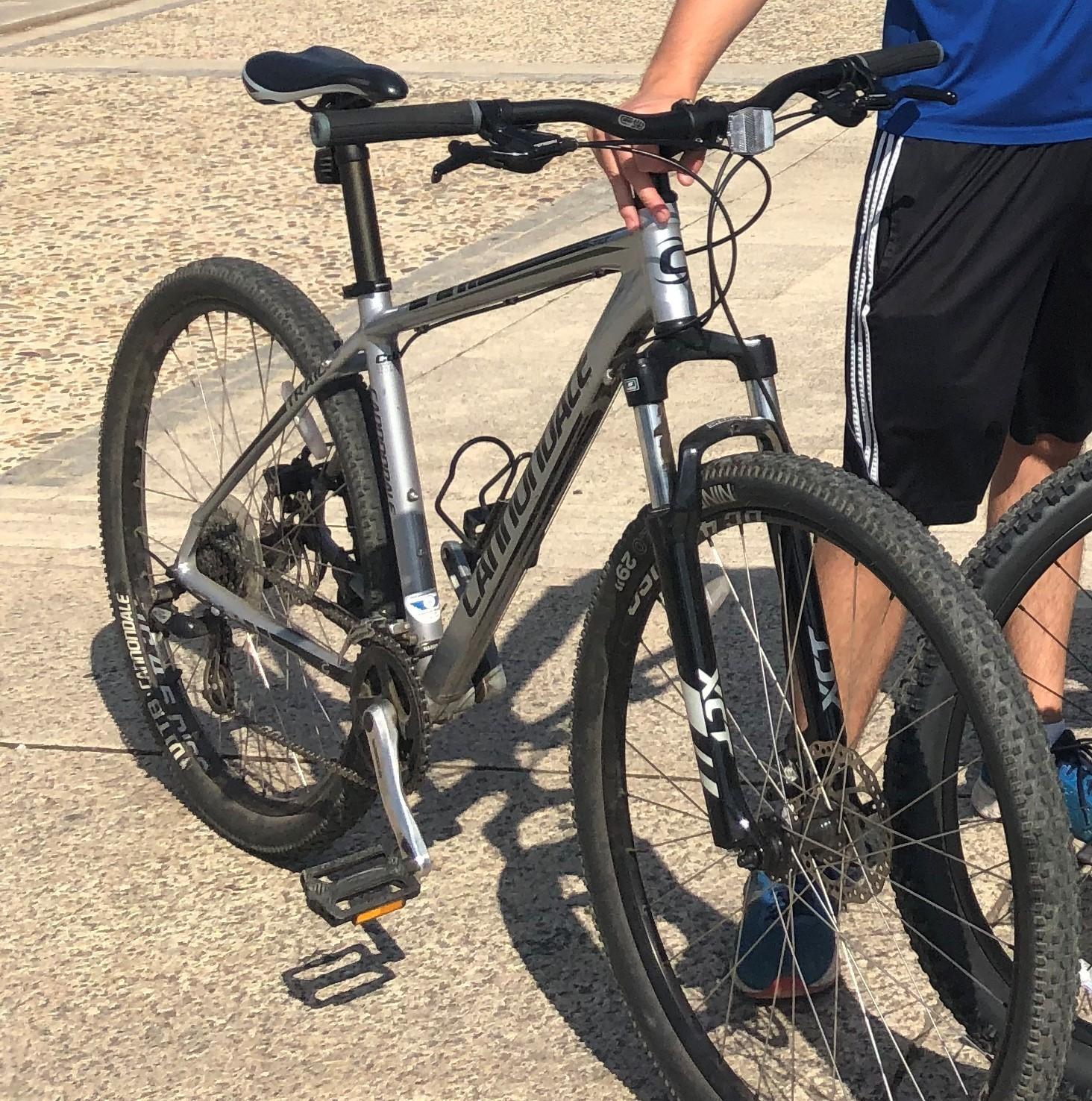 2014 Cannondale Trail 29 6 Silver, gray or bare metal