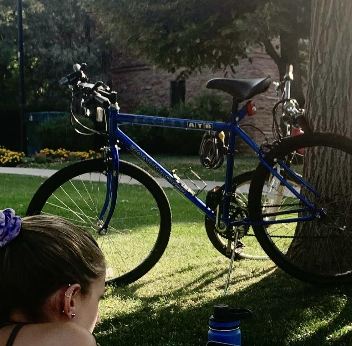 1991 Roadmaster Blue
