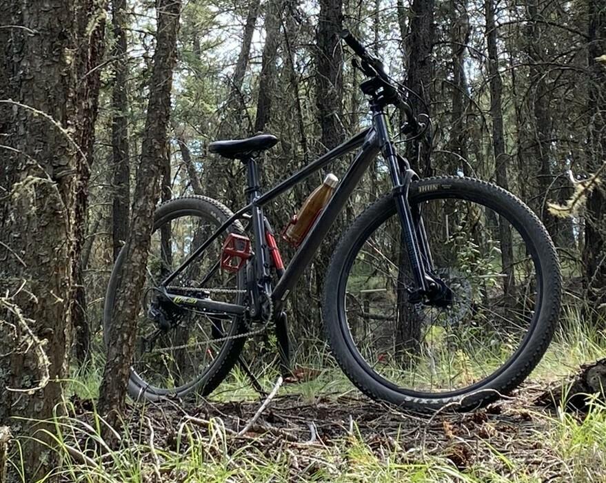 2020 Giant Talon 1 Silver, gray or bare metal