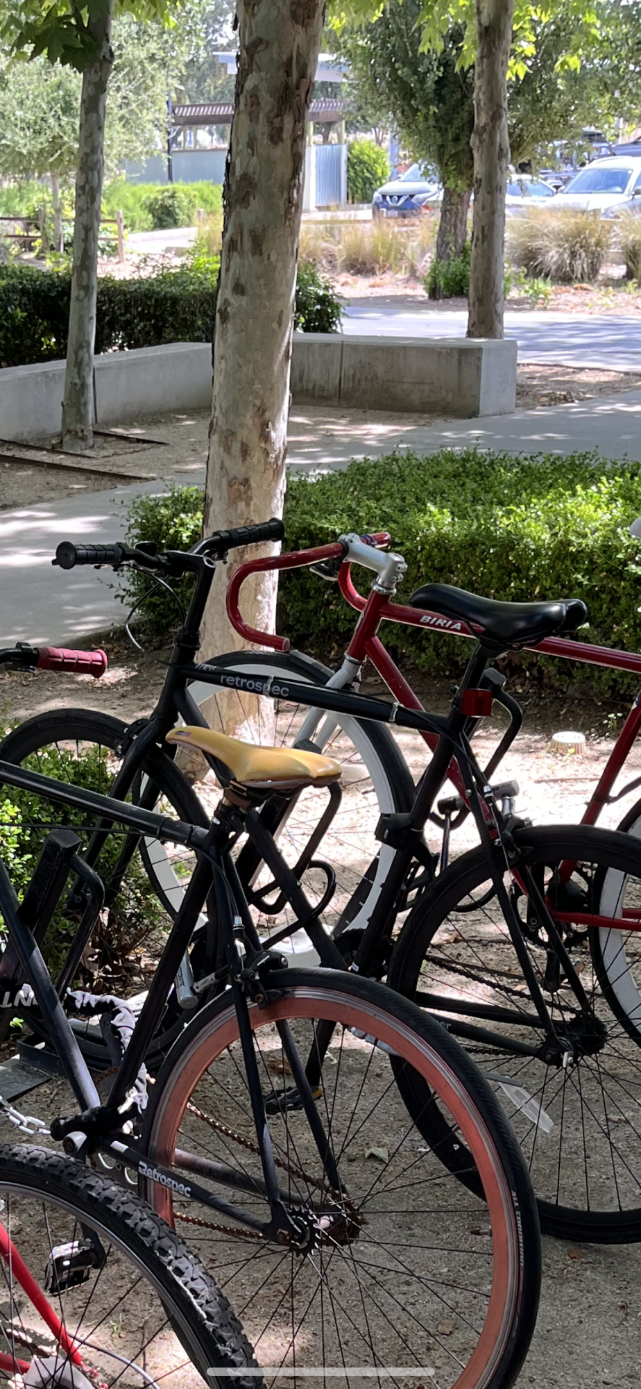 2021 Retrospec Black