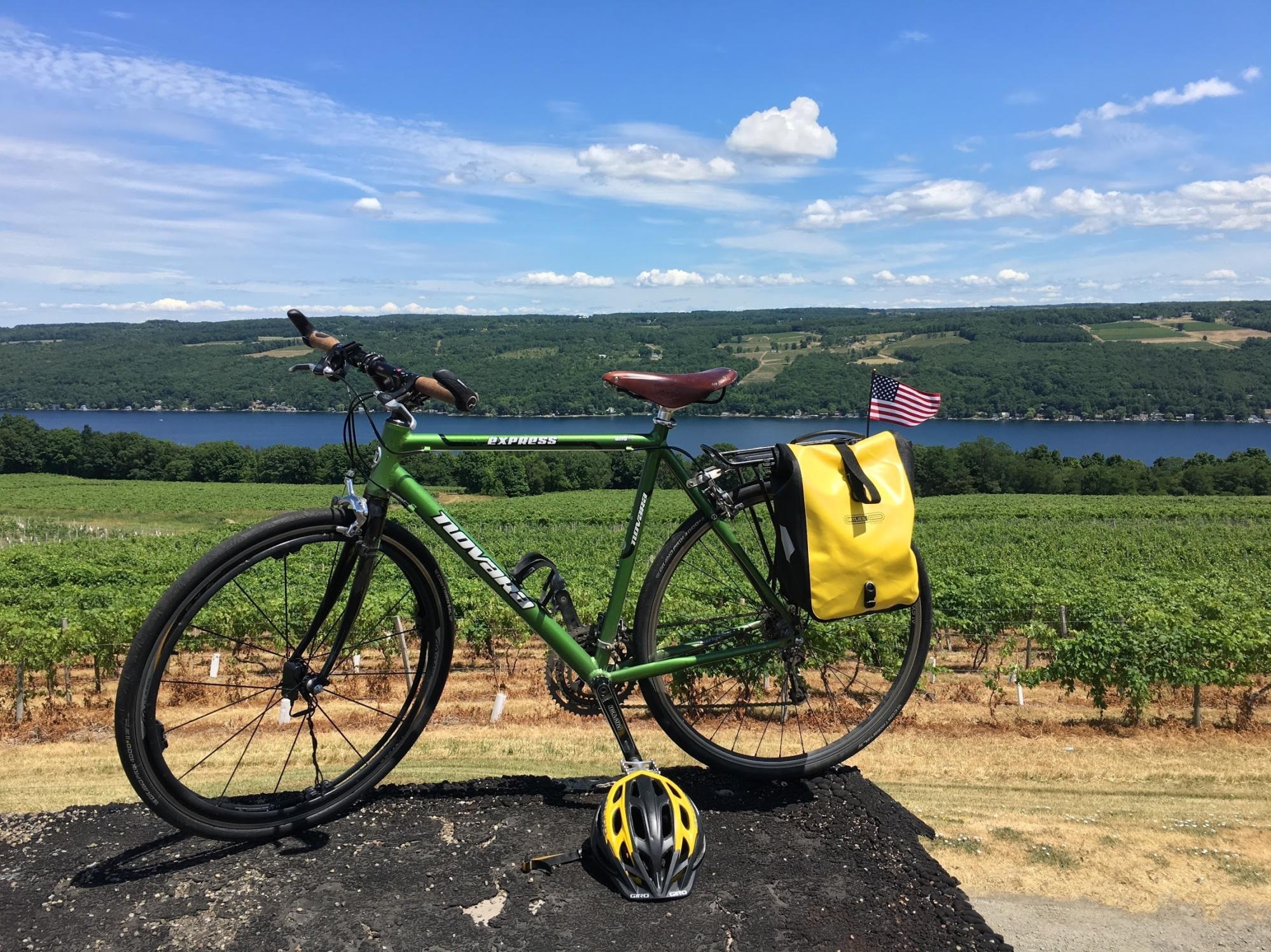 2011 Novara Express Green