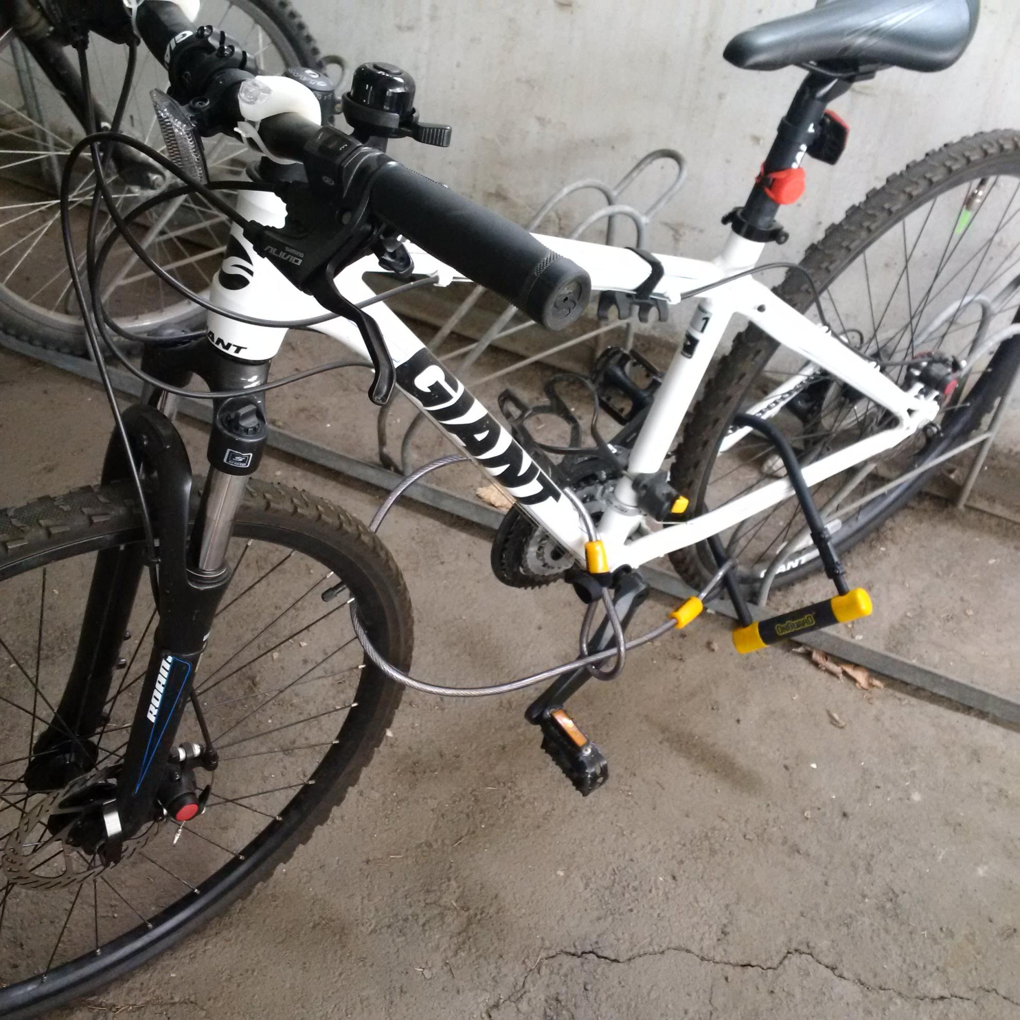 2014 Giant roam 3 White
