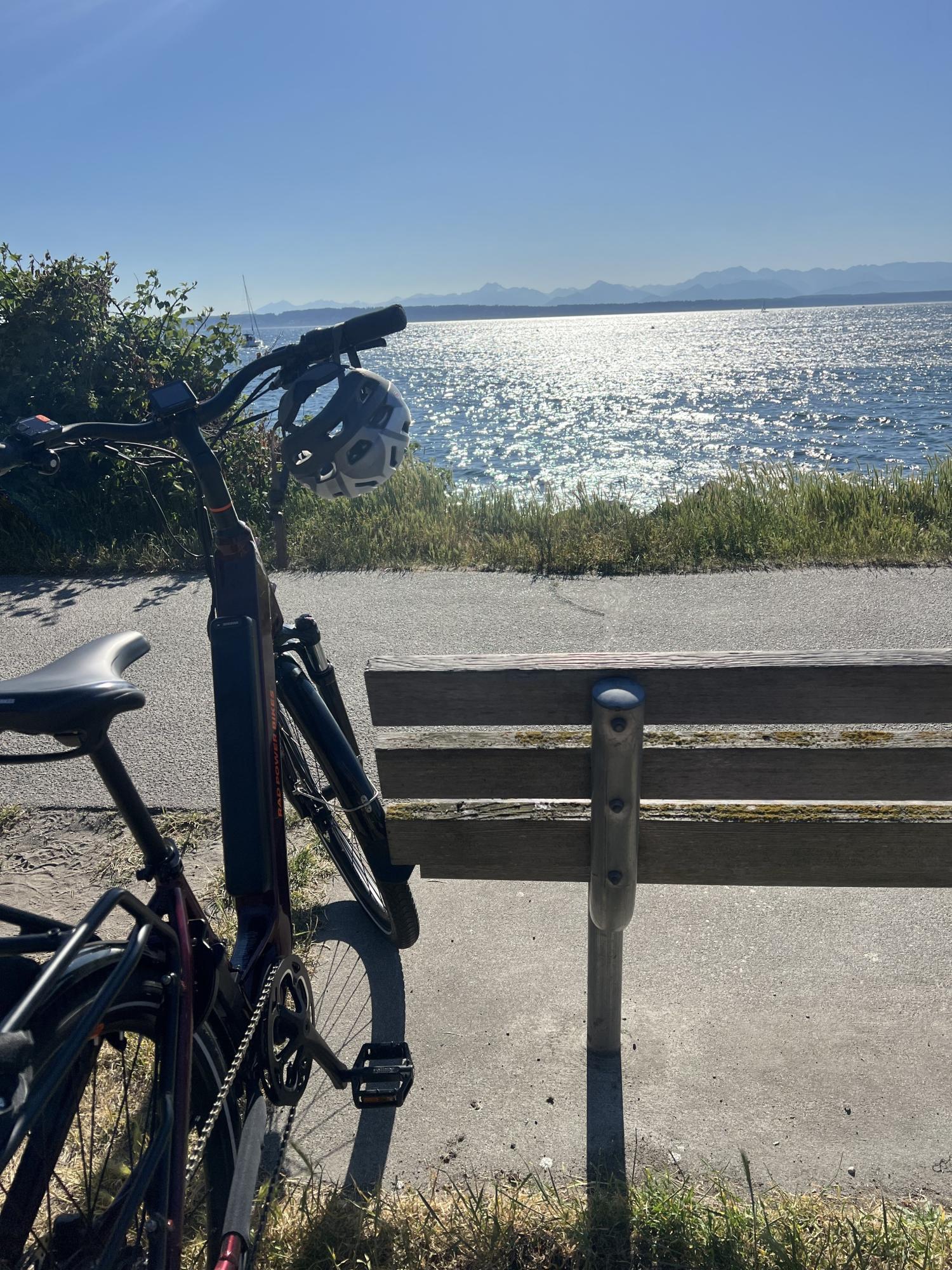 2025 Rad Power Bikes RadCity 5 Plus Purple