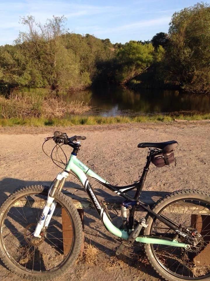 2008 Specialized  Blue and Black