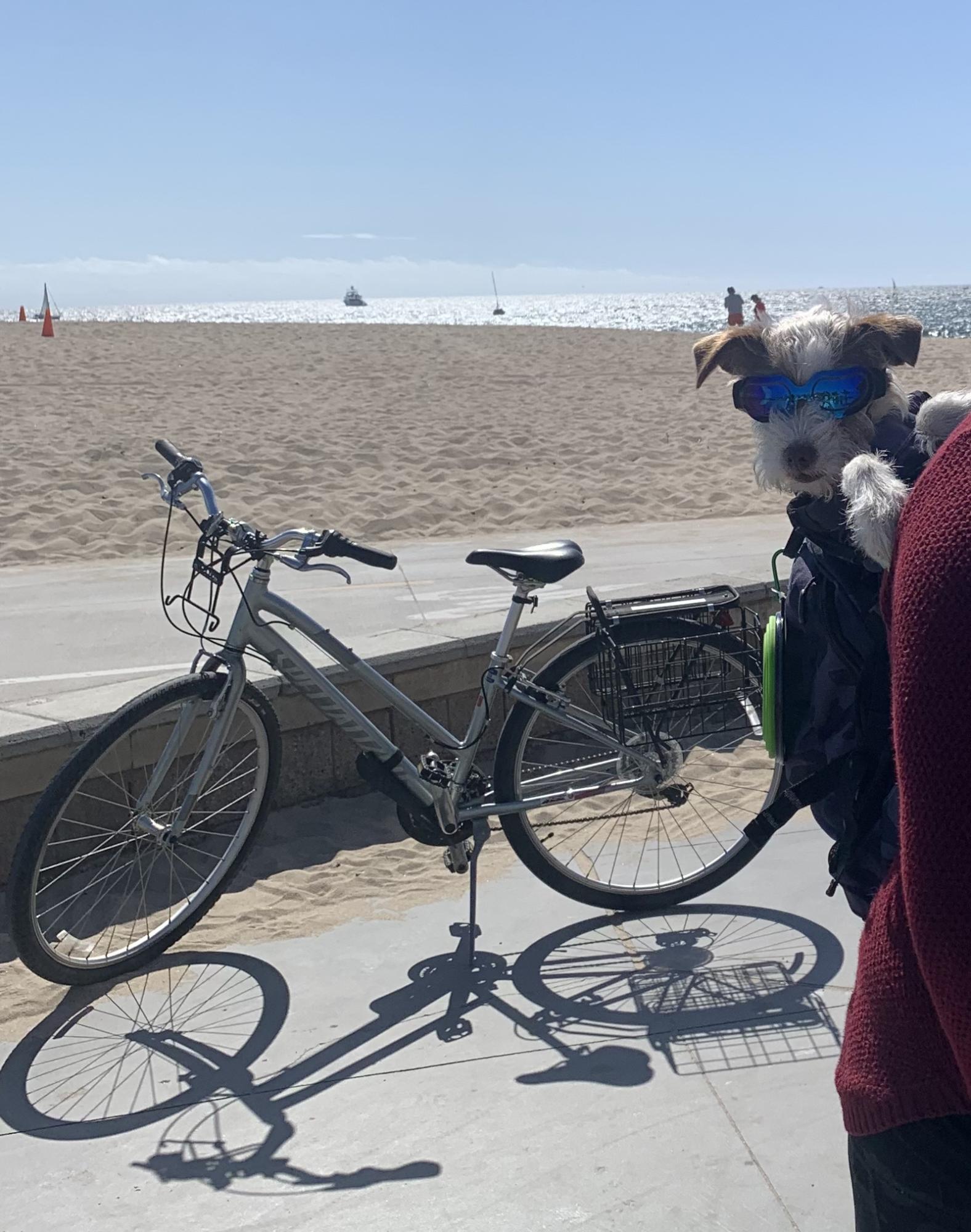 2016 Specialized Crossroads Silver, gray or bare metal